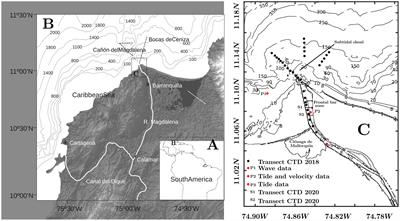 The effect of waves in hydrodynamics, stratification, and salt wedge intrusion in a microtidal estuary